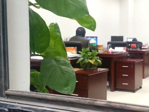 �����ߺ��ŷþָɲ������ϰ�ʱ���������Ϸ��ͼ��