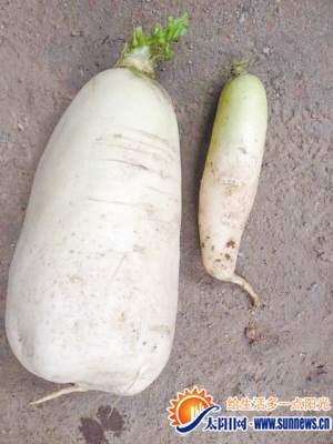 ũ���ԼҲ˵��ڳ�����Ȼ����ܲ���30�ͼ��