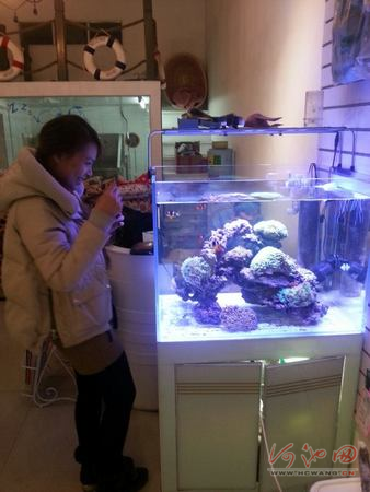 ��������ɺ����ʱ���³���ҳƺ�����ɱ��൱