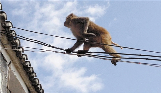 ���ݳ�����ɫ⨺�ר���ж�ӦΪˣ���˽�����ϵ�