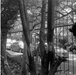 С�����������õ����⿳������֮��Σ������