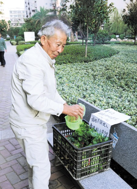 人小区设“无人售菜点”买菜付钱靠自觉网友点赞