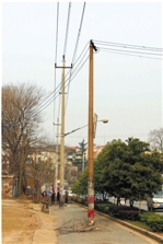 非机动车道中央立3根电线杆男子骑车险撞上