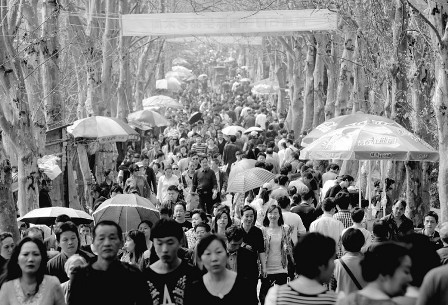 ���칫Ĺ����̯������Ҷ����׬500Ԫ��ͼ��