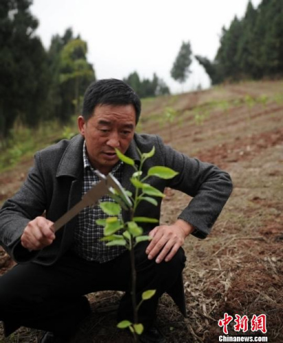 �Ĵ�������ʡ��ģ�ٱ��������µ����˱�ְͣ��ͼ��