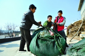 北京密云水库昨起进入禁渔期