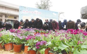 ʯ��ׯ����ɫ�����������ǻ�����4������