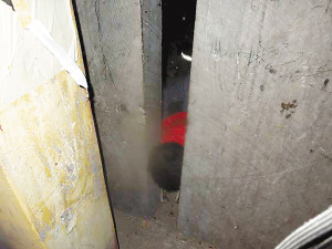 3����ͯͷ����ʯ����������ǧ�ﶥ�Ž���ȳ�