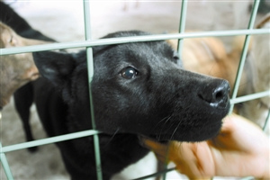 �������˹���վ��������֮�ر���Ư������֮��