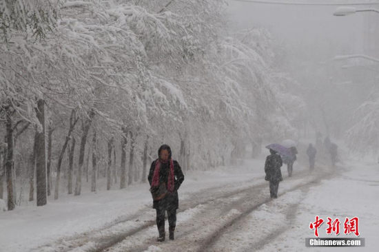 ��³ľ�����±�ѩ����Ϸ�ơ�һҹ�붬����ͼ��