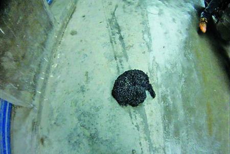 5����С��8¥��������С��С��������Σ�գ�ͼ��