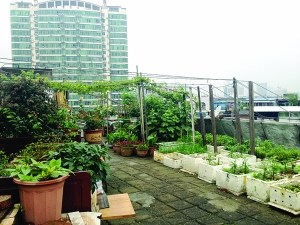 �ϲ�һ��ү�ݶ�����˽�˲�԰�ְ��ֹ��ߣ�ͼ��