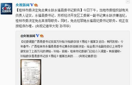 ������������ί��ǻ���Ծ����ȥ�쵼ְ��