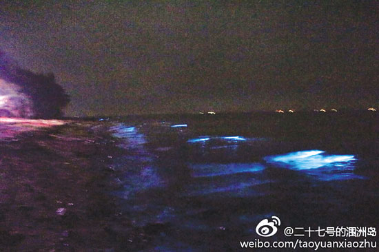 ����һ����̲��ҹ��ӫ�����ѳƺ���ר�ұ�����