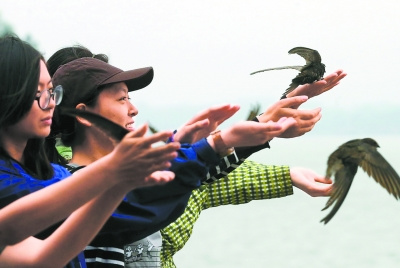 �����ú�԰�����״����׷������ͼ��