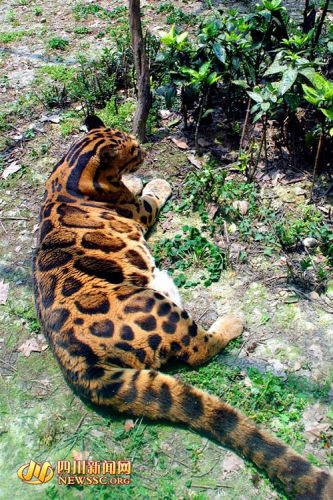 �ɶ�����԰�Ʊ�̫����Χ�۸��ּ��ʾ���ʧ�ܣ�ͼ��