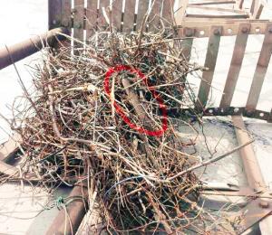 ϲȵ����˿��������һ��10���﹤�����˽�22Ԫ