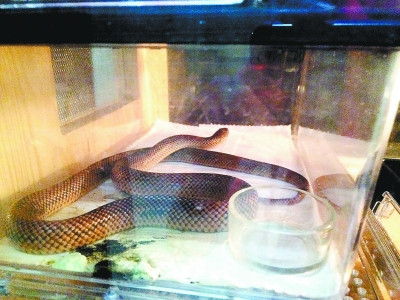 �������־������ֱ���������ҧ���������˵���