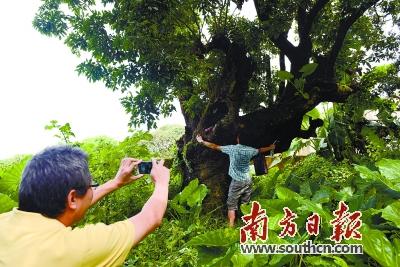 ���ݰ��������Ƶ�⿳������Ч�����������ͼ��