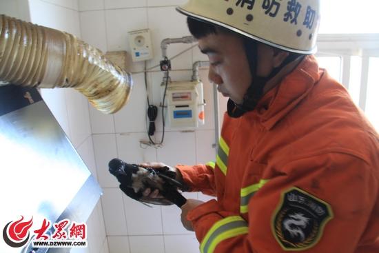 ɽ��һ���������̻������������̵���ȡ��ϲȵ