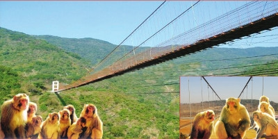 ��Դ��500��ԪΪ⨺ｨ�������ɵ��سƻ�����Ȼ