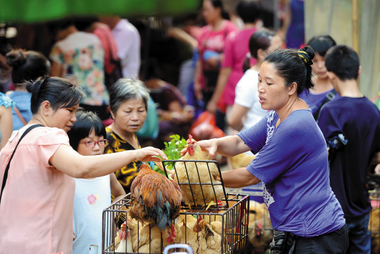 广东生鲜鸡销售难私宰鸡生意旺 买卖渐入两重天