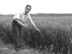 ��Ӫ��ҵ������5��Ϊ���񷢸���Ͷ����Ԫ�޸��ų�