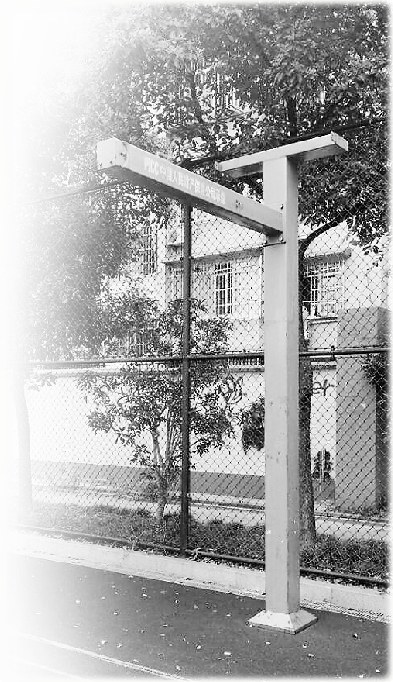 С����������Ͷ�߻ķϰ��걻�㳡���ձࣨͼ��