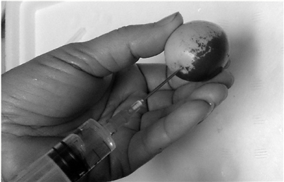 ���ӱ�ע�Ǿ�ˮ��ʵ�鲻̫��������Ǿ�ˮ����