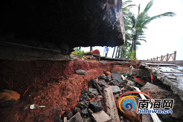 �������㺣̲�ٺ��������ش��̼ҳ�Ѫ���޹�