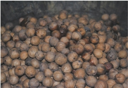 90���ɽ����˫��ȾɫŮ�����Գ��۵��񹷣�ͼ��