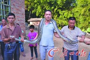 4�׳������߽��屻�Ź���Ȼ�����̲����ϣ�ͼ��