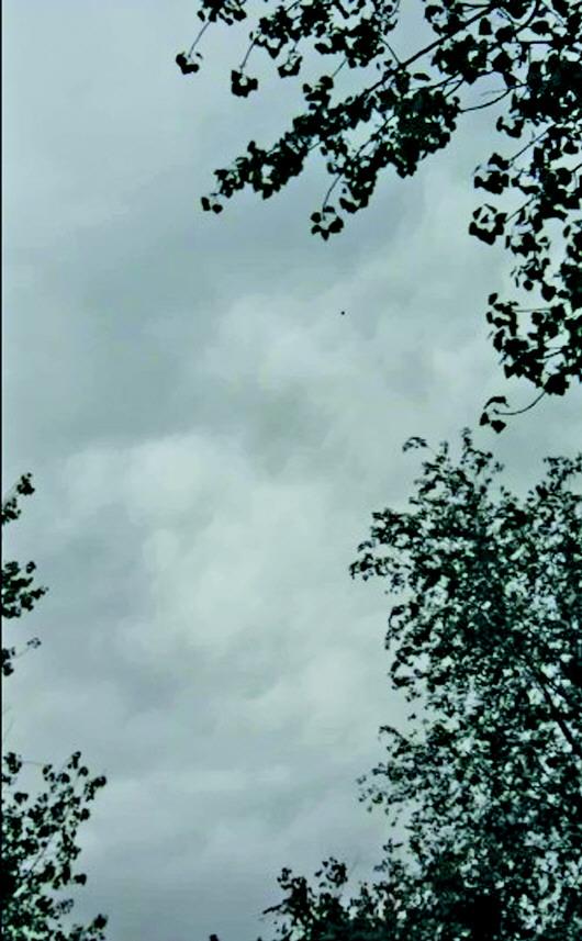 ���������ĵ���ɫ����������Ŀ�⼸ʮ�״�ͼ��