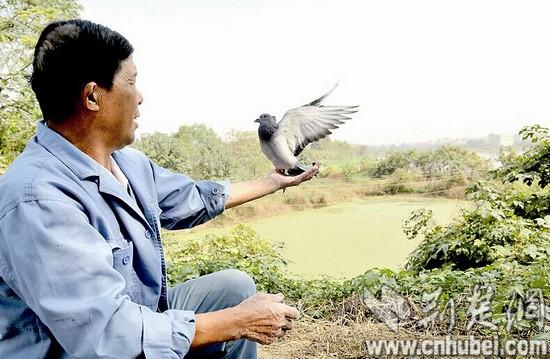 ������Ÿ�16��û�¸ڿ����Ӹ����˱�ƽ����ͼ��