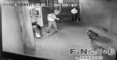 野猪闯入小区民警开枪打野猪误伤路边女子(图)