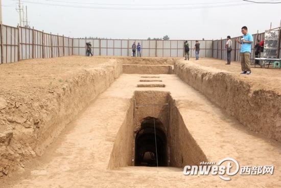 上官婉儿墓中尸骸检测系牛骨复原其容貌已无可能