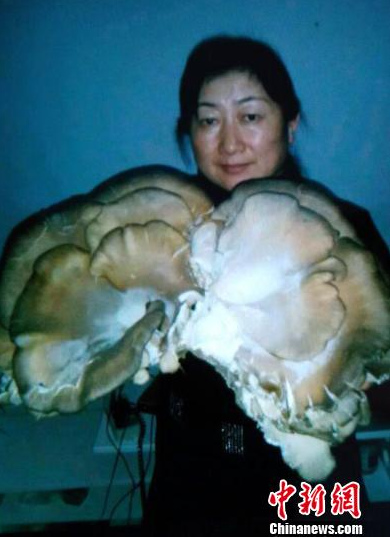 �½�һ�����־���Ұ��Ģ���ش�3.6���ͼ��