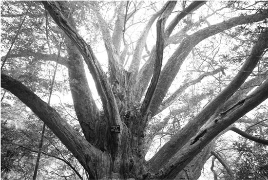 �㽭���Ұ�������������Σ��������᧿�Σ