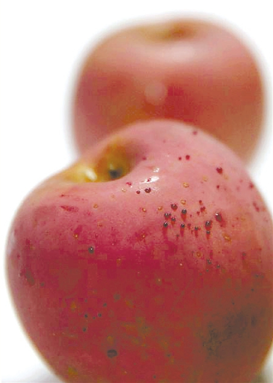 ��ƻ������ˮ��ðѪ��ר�ҳ�������������