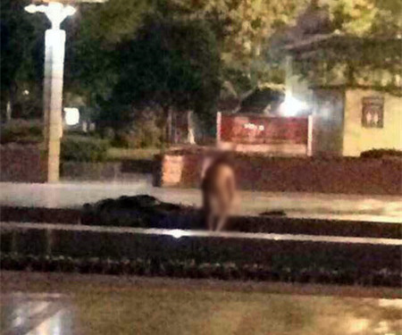 四川德阳一男子在广场水池洗澡 全身赤裸(图)