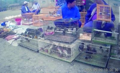 ���ñ���һ�����г�Ұ�������װ���г��ۣ�ͼ��