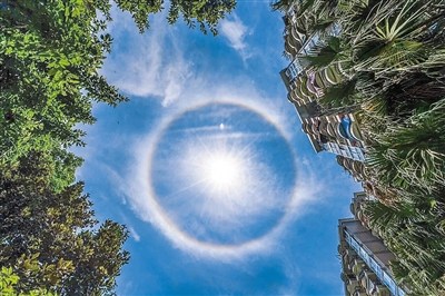 �����и����ɰ���������������ֲ�ɫ���Σ�ͼ��