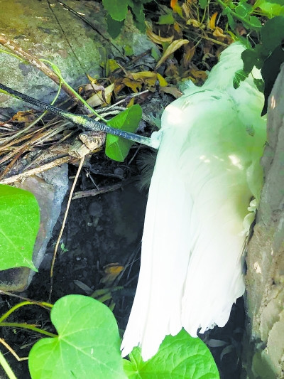 ������Ϣ��������������������˲��ų���Ͷ��