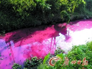 �㶫����һ�Ƿ���ʯ����͵��ϴʯ��ˮС�ӱ��ɺ�ɫ