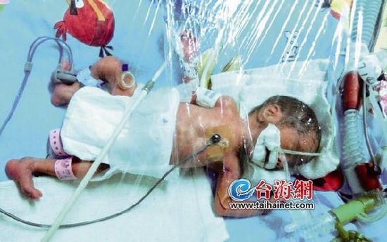 ˫������������һ�ܺ�ز�۵ܵ����ʮ�����