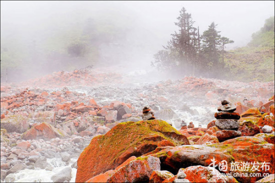 ���ݹ����֡���ۡ����鵱���ѳ������������