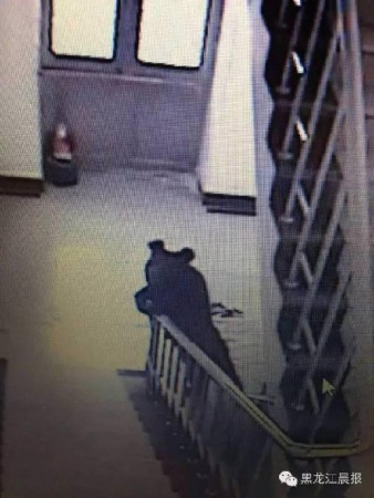 ������һ����ѧУ԰�������ܱ������������У�ͼ��