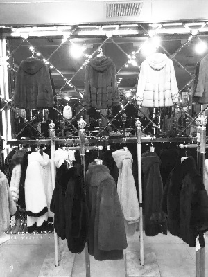 ��Ƥ���¼۸���������һ�����۸񲻵��������޷�