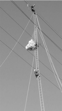 �����滬��ɡ����7Сʱ���걻��11�����ѹ����