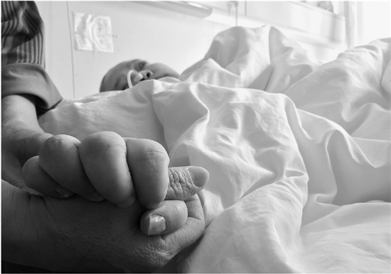 ���ӳ�ֲ�����ɷ�900������ҹ��飺�������